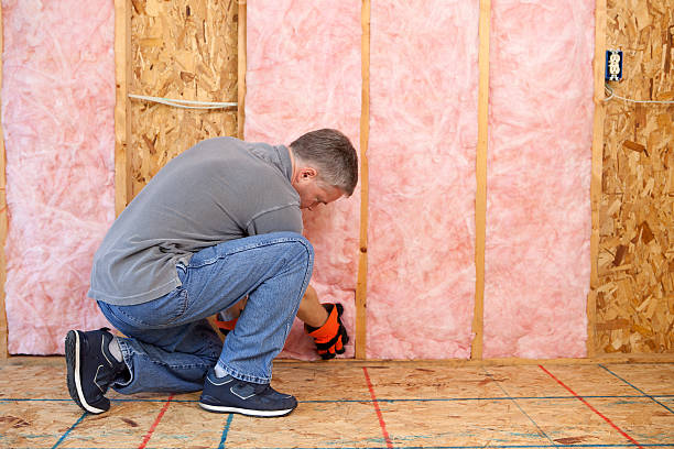 Best Insulation Maintenance and Repair in Los Angeles, CA