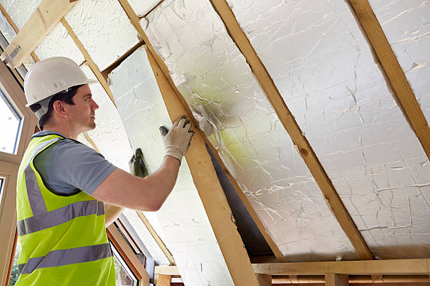 Best Energy Efficiency Solutions in Los Angeles, CA